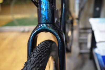 画像2: 【特価】GIANT REVOLT ADVANCED2 グラベルロード スターリーナイト