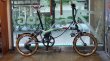 画像1: 【限定】BROMPTON 　ツールドフランス　LOW ハンドル　P-LINE 12速 (1)