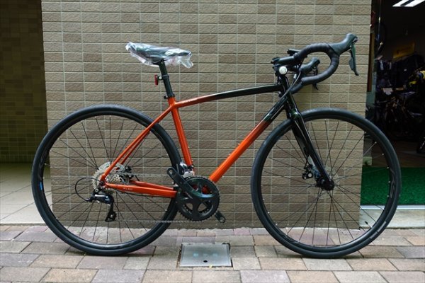 画像1: 【最後の1台】ANCHOR  RL6D DISC エンデュランスロードバイク　キャニオンオレンジ (1)